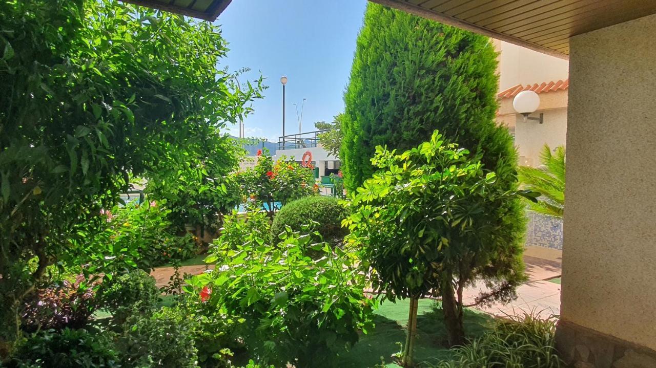 Jardines Gandia- Solo Familias Playa de Gandia Exterior foto
